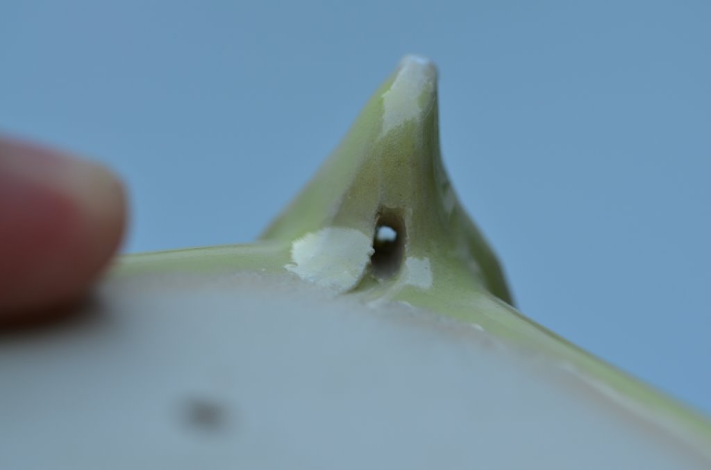 DSC_1525.JPG