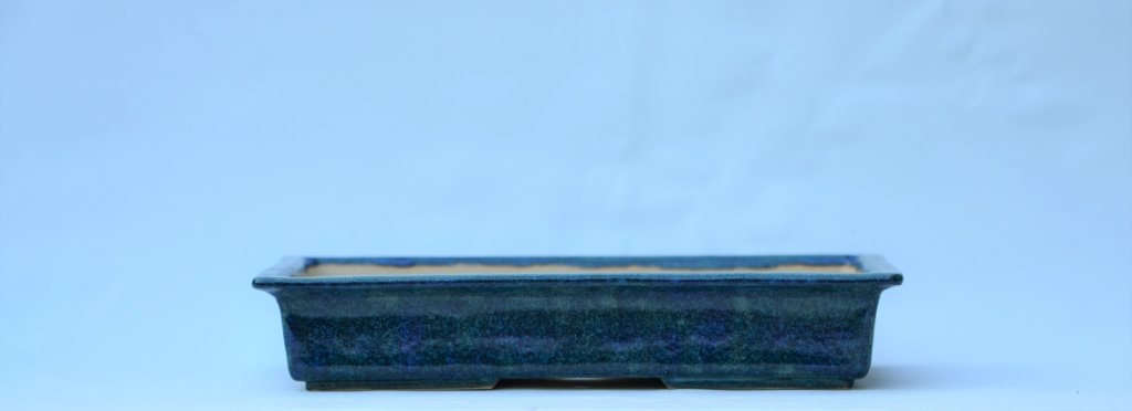 DSC_1482.JPG