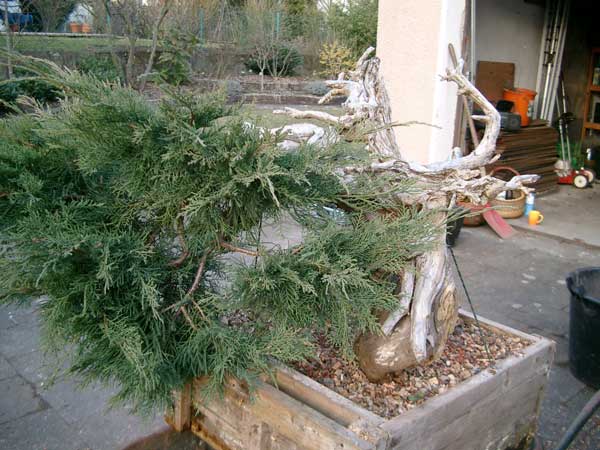 2-frühjahr-2006.jpg