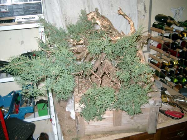 1-2005.jpg