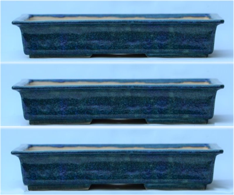 Lazlo-1.jpg