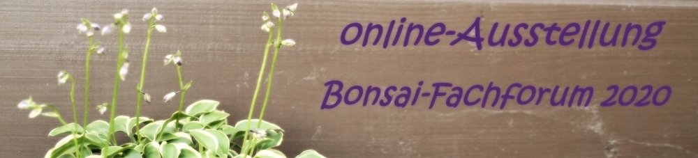 header1.jpg