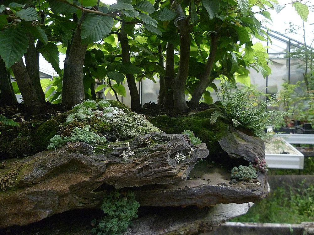 comp_2P1020746.jpg