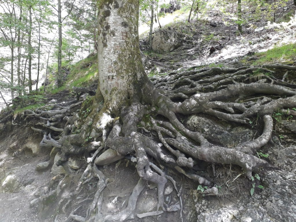 20200630_125029.jpg