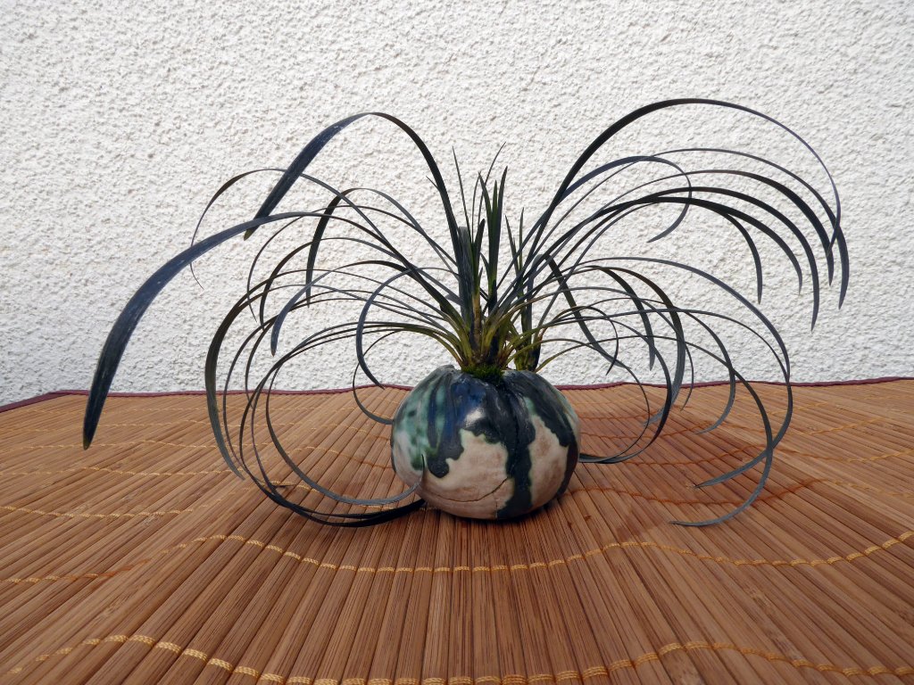 diese erfolgreiche Reparatur lässt sogar das Schälchen lächeln...
