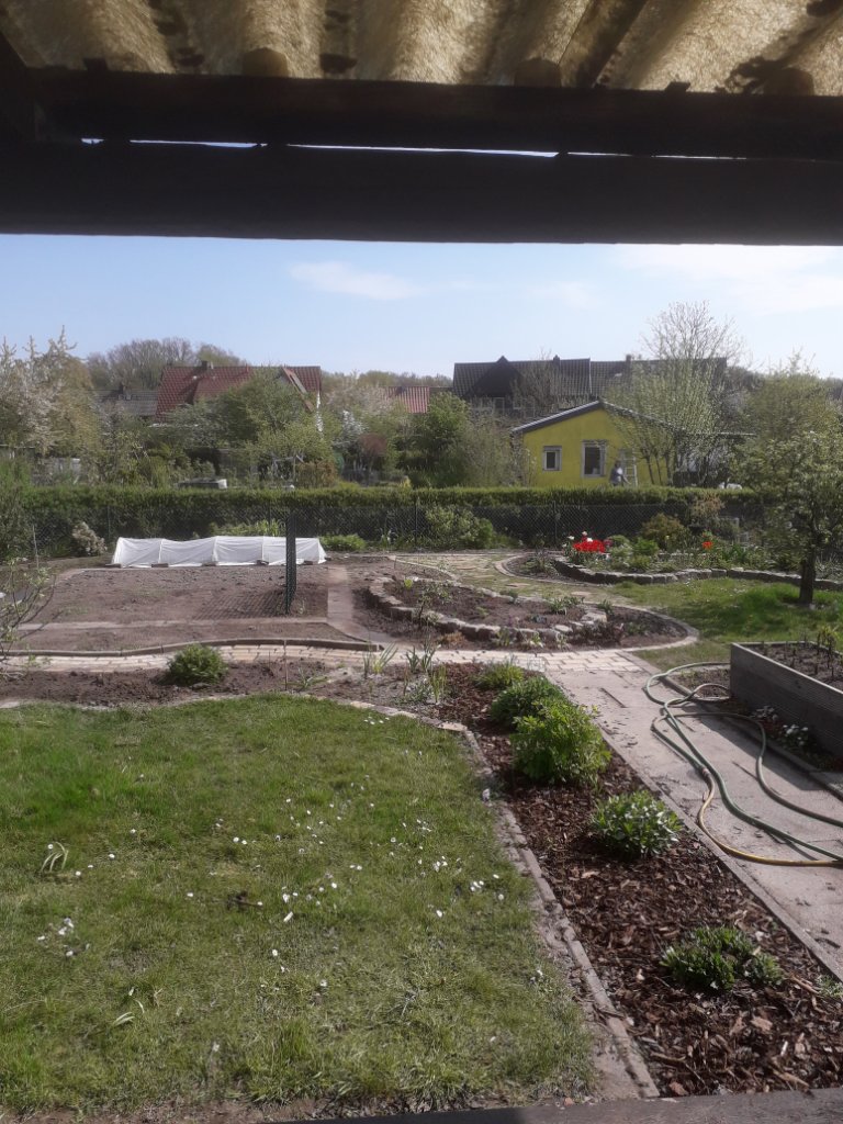 20200418_115201.jpg