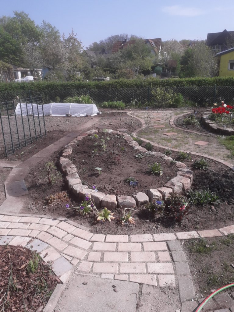 20200418_115223.jpg