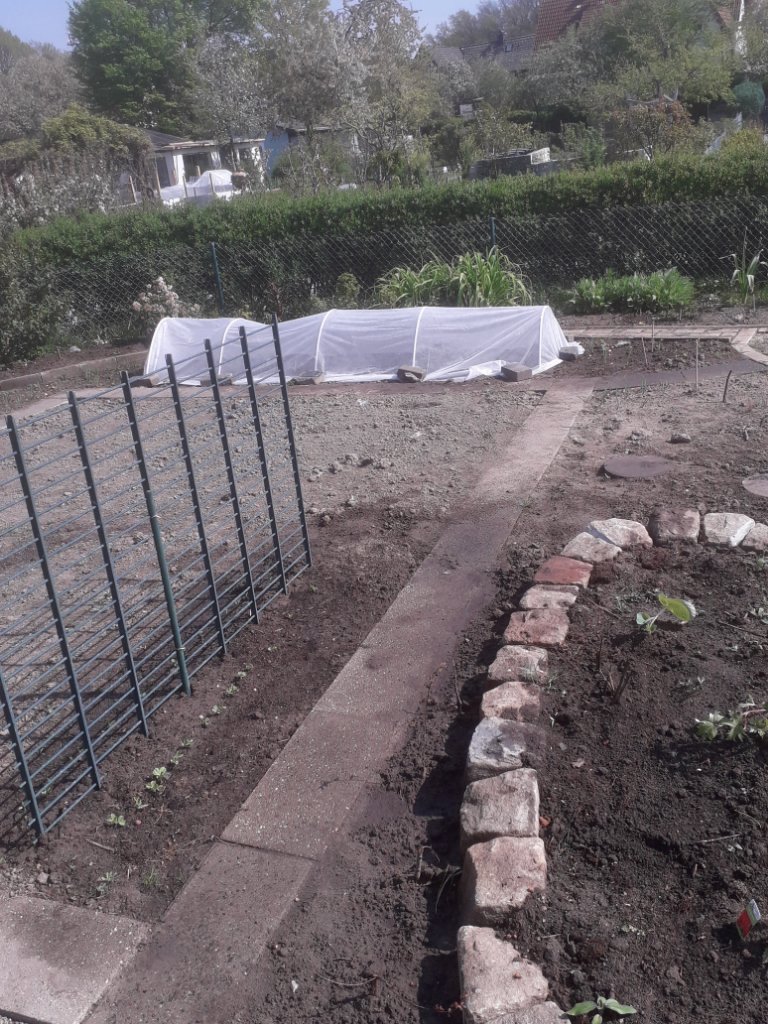 20200418_115318.jpg