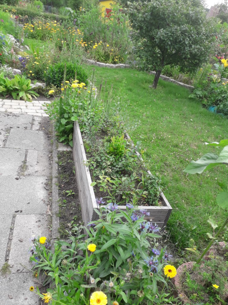 20200707_113408.jpg