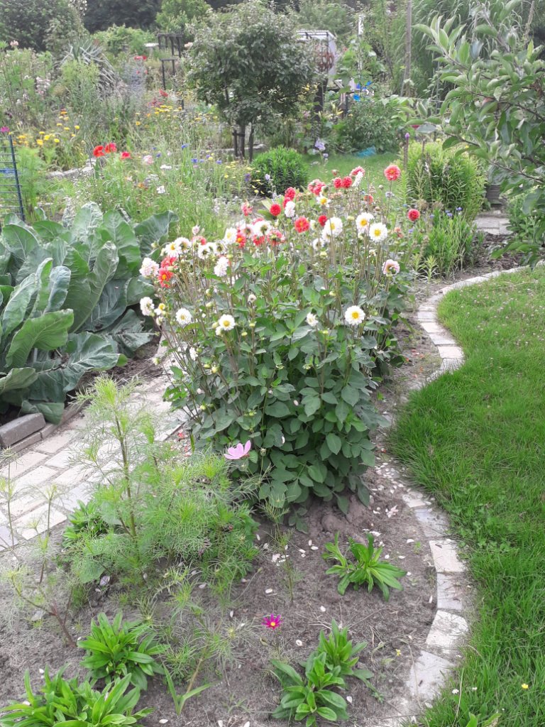 20200707_113520.jpg