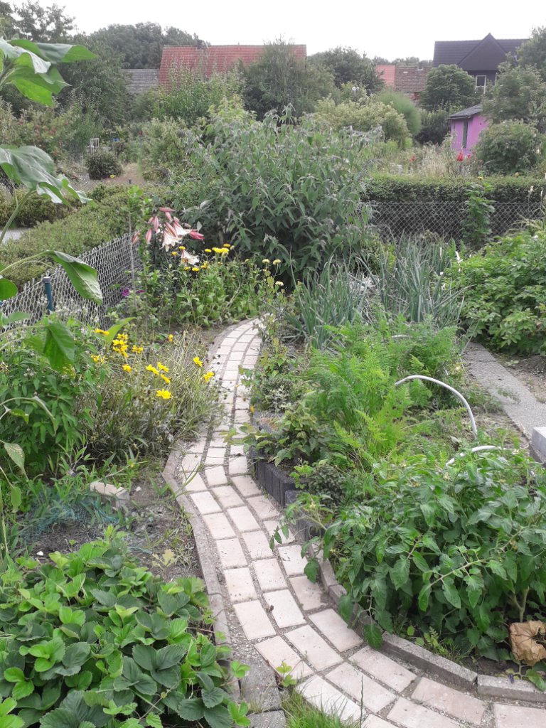 20200707_113525.jpg