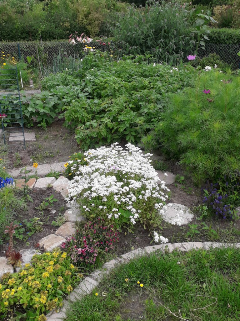 20200707_113545.jpg
