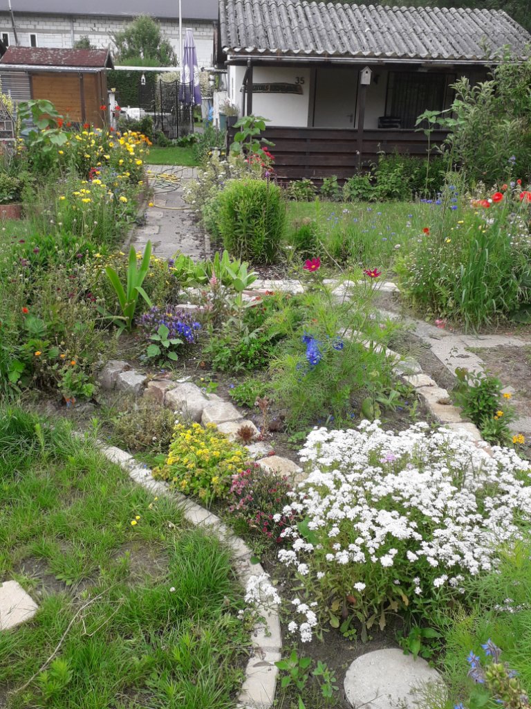 20200707_113600.jpg