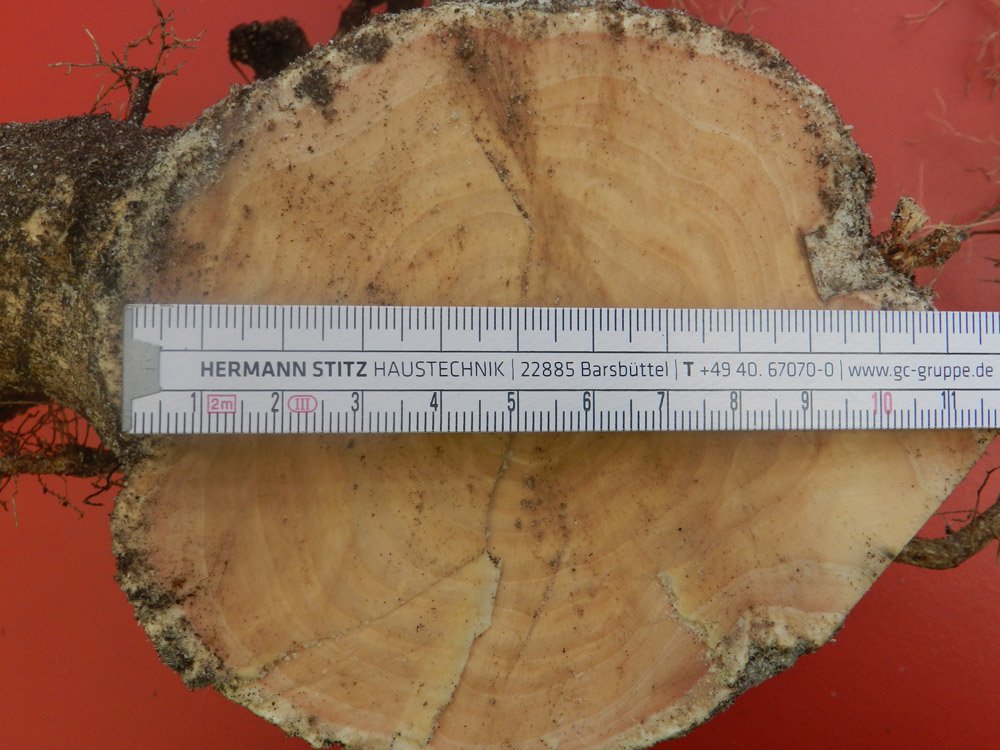 DSCN5004.jpg