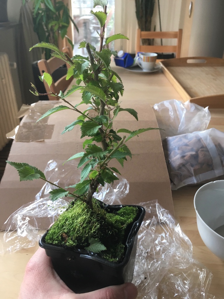 Nach dem auspacken Mai 2019