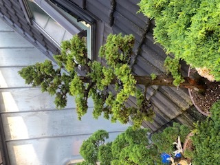 image1.jpeg