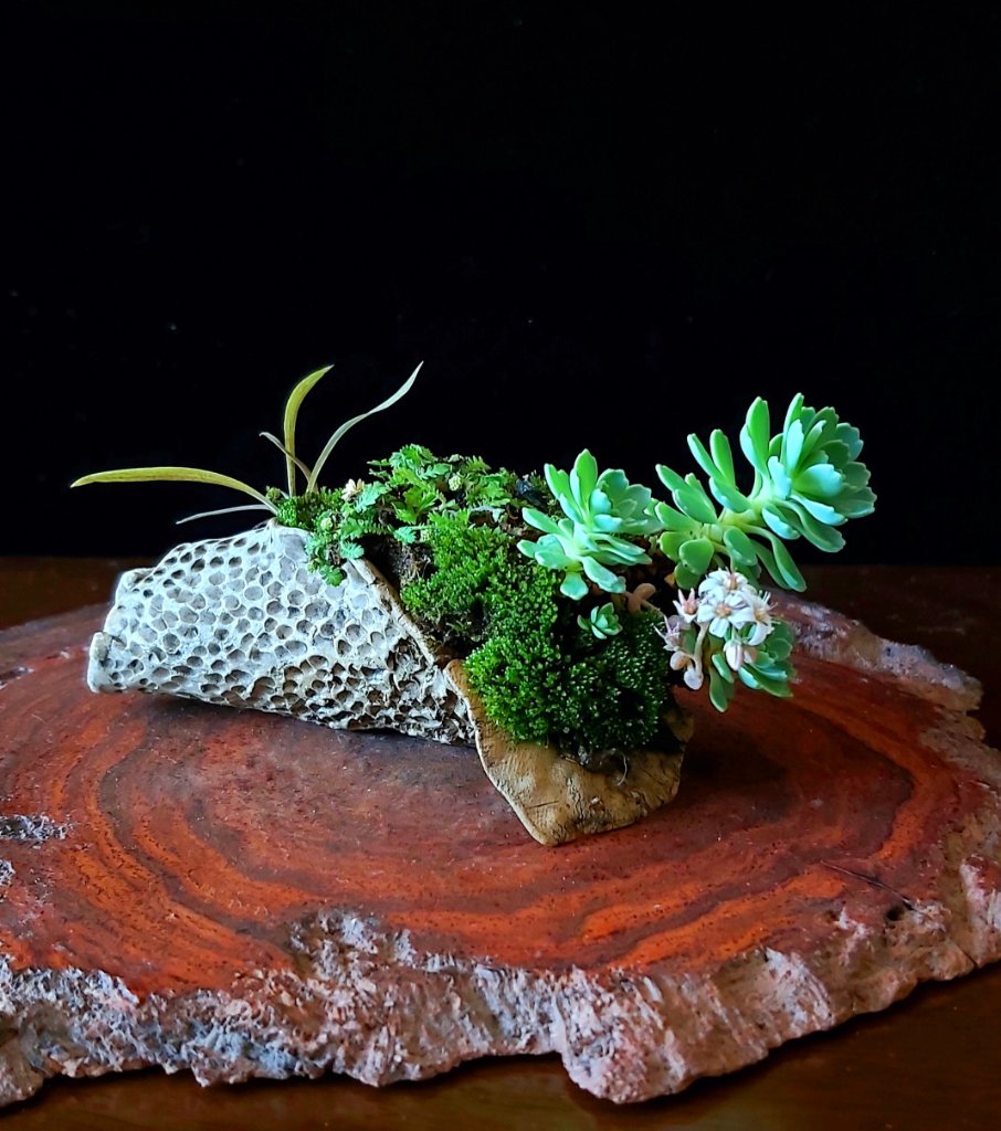 20200719_132912.jpg