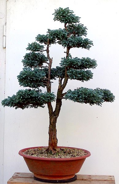 Umtopfen01.jpg