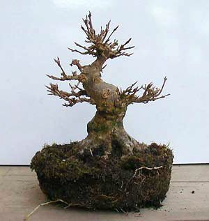 umtopfen-1.jpg