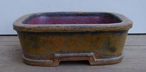 Umtopfen-4.jpg