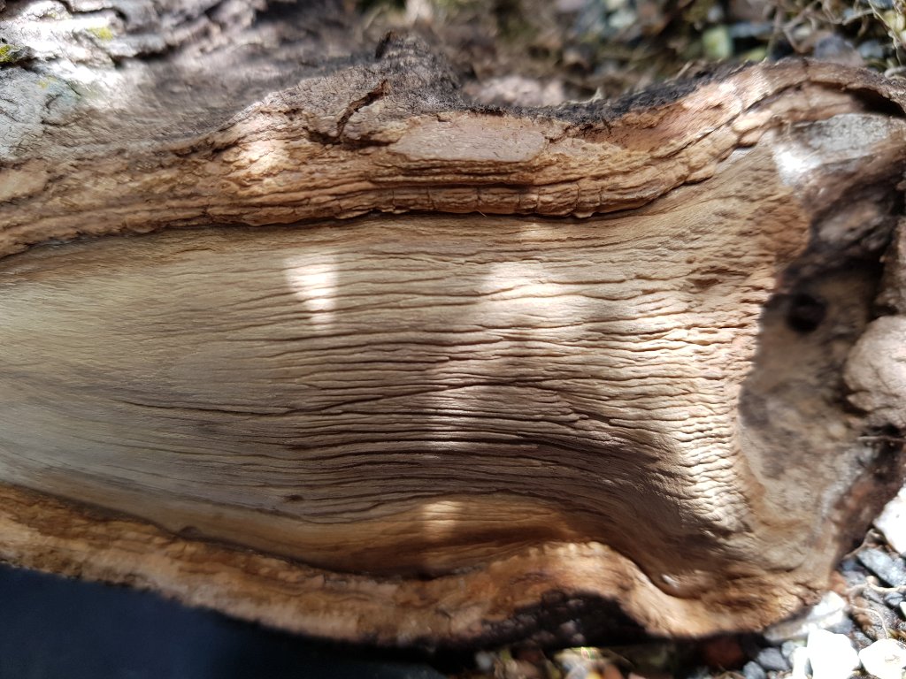 20200801_120908.jpg