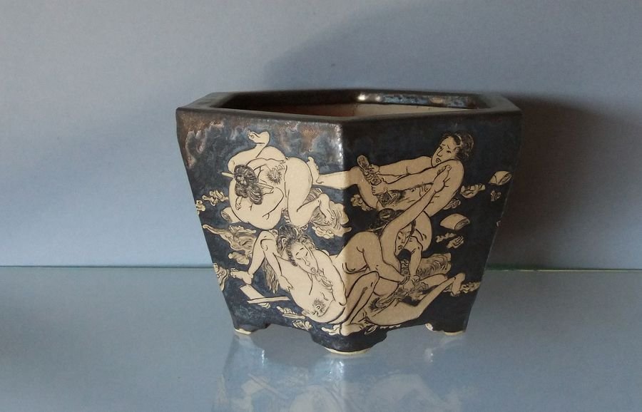 k-150 Shunga Gold e.jpg