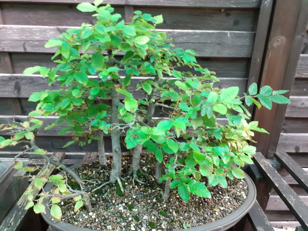 20200813_183926.jpg