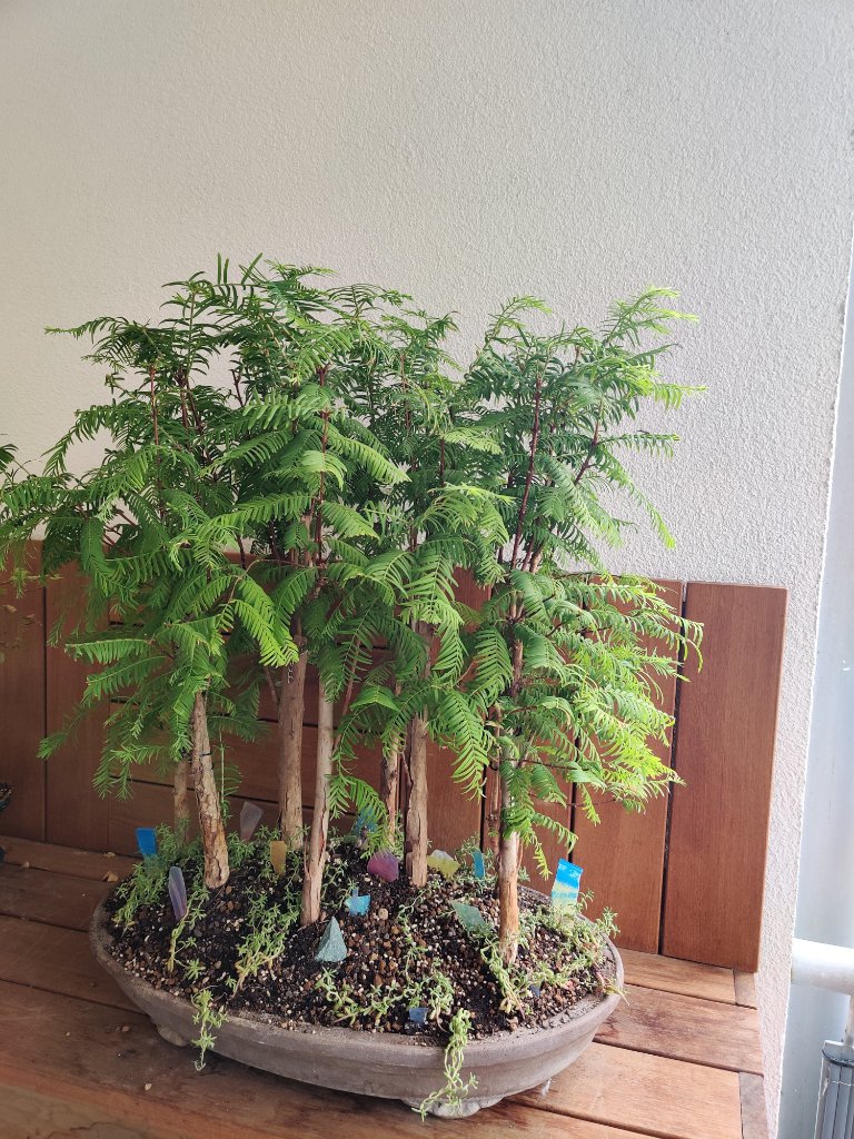 IMG_20200814_112906.jpg