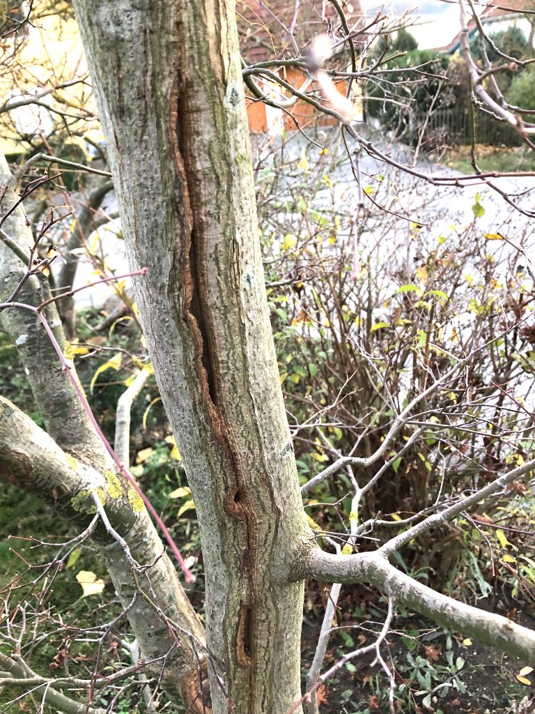 2018-11-16 .jpg