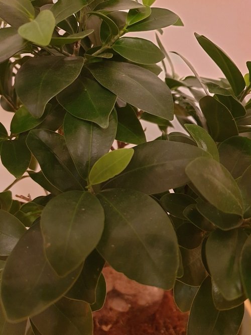 20200827_230759.jpg