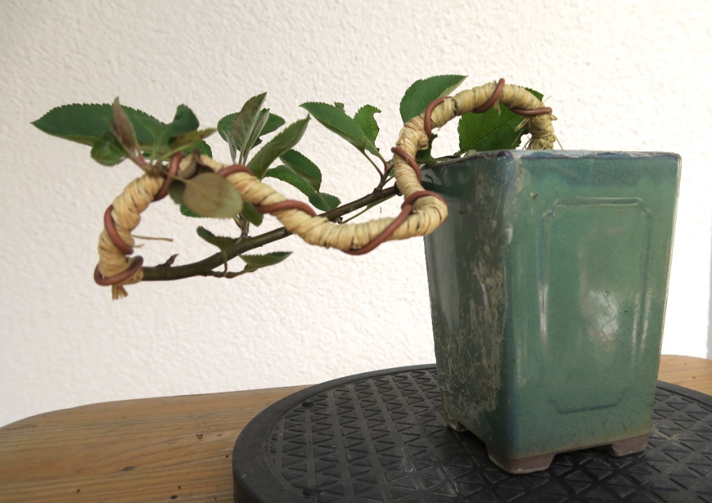 2015-06-26 -1.jpg