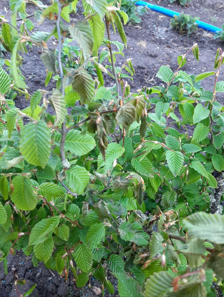 20200831_192315.jpg