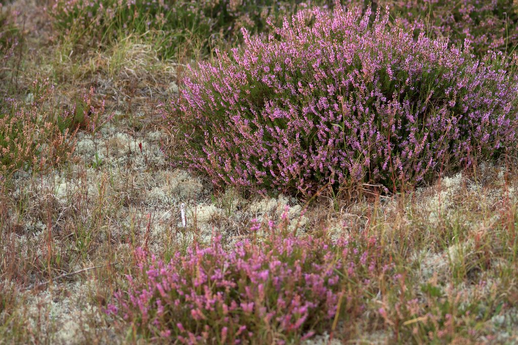 AB7_3561.jpg