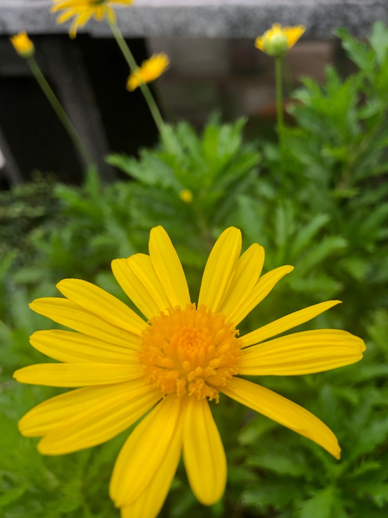 5D1554AE-EB9A-4CEB-B019-21B8E766D168.jpeg