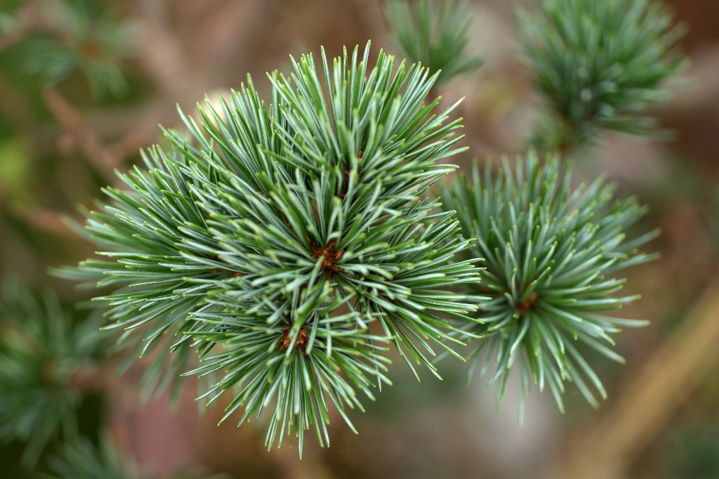 20200904_b.jpg