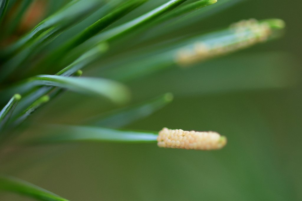 20200904_e.jpg