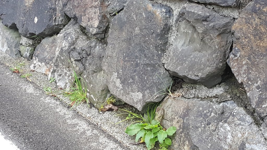 20200906_153324.jpg