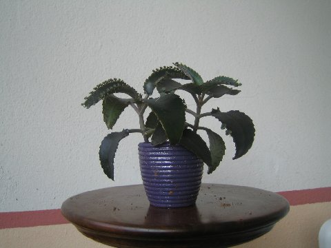 image8.jpeg