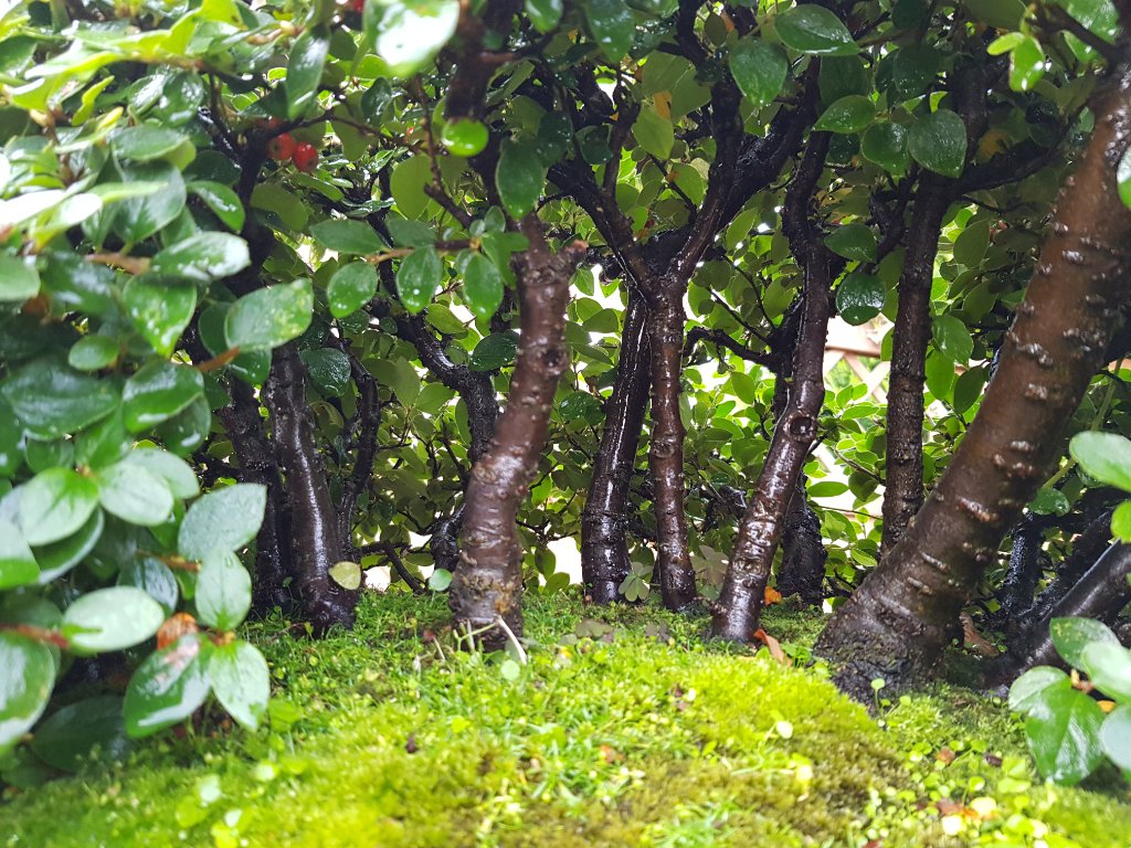 20200919_180938.jpg