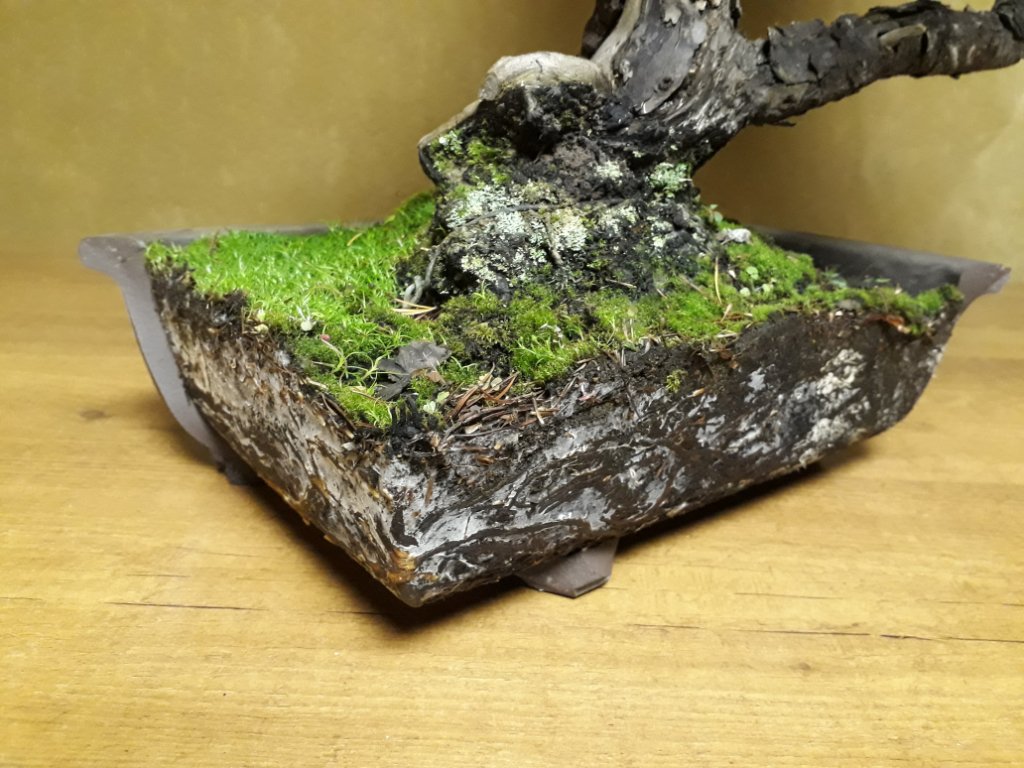 20200919_221647.jpg
