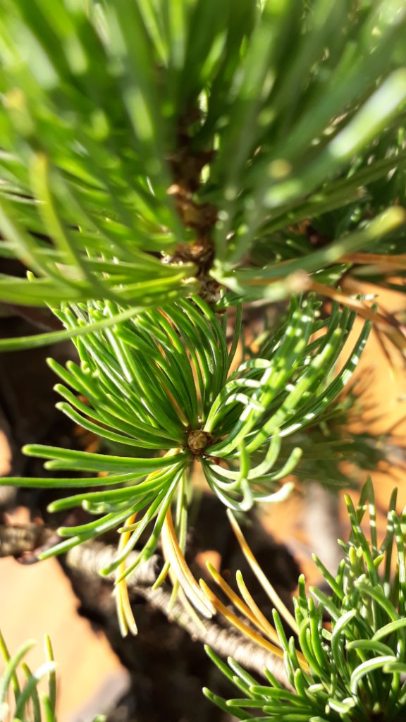 20200920_151857.jpg