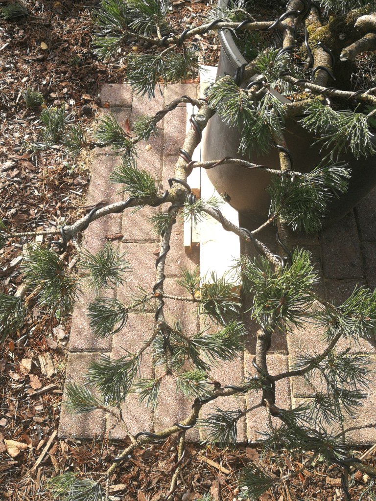 IMG_20200930_134640.jpg