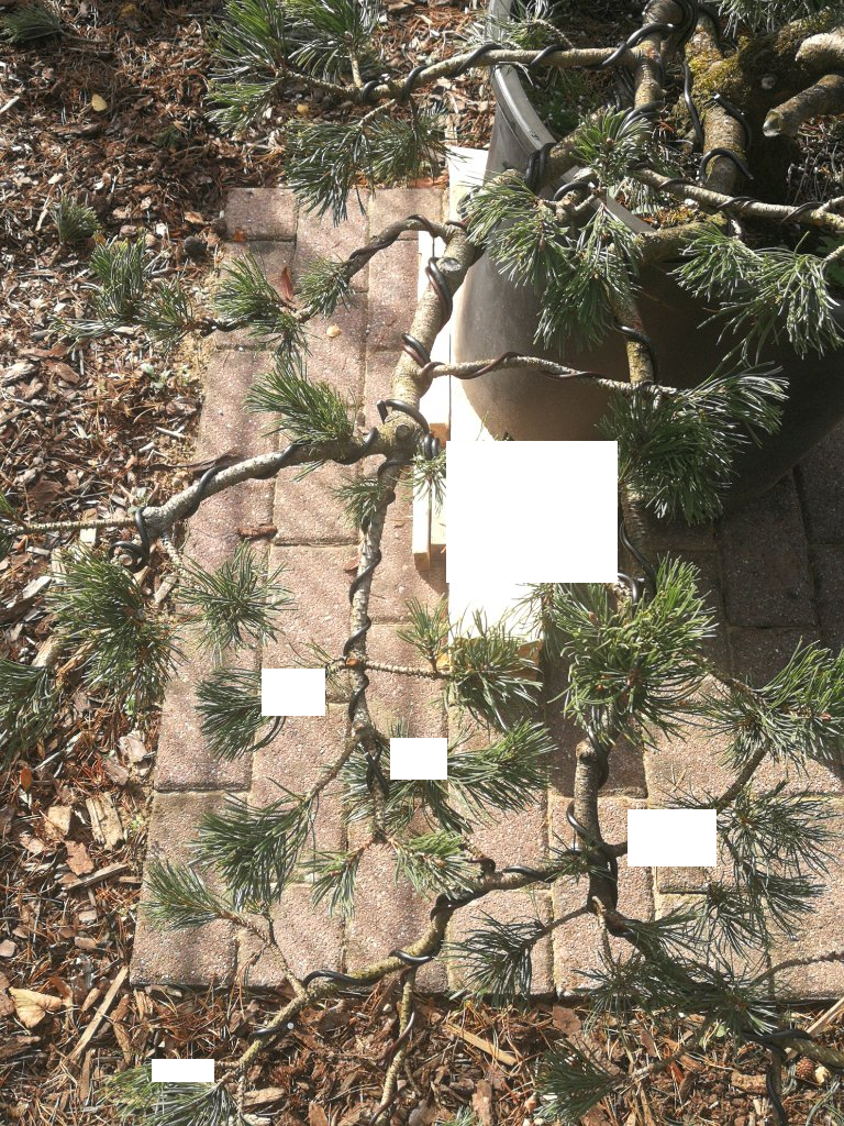 IMG_20200930_134640.png