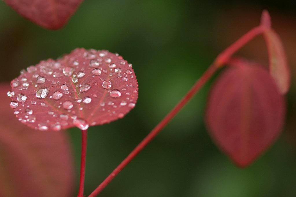 20201002_a.jpg