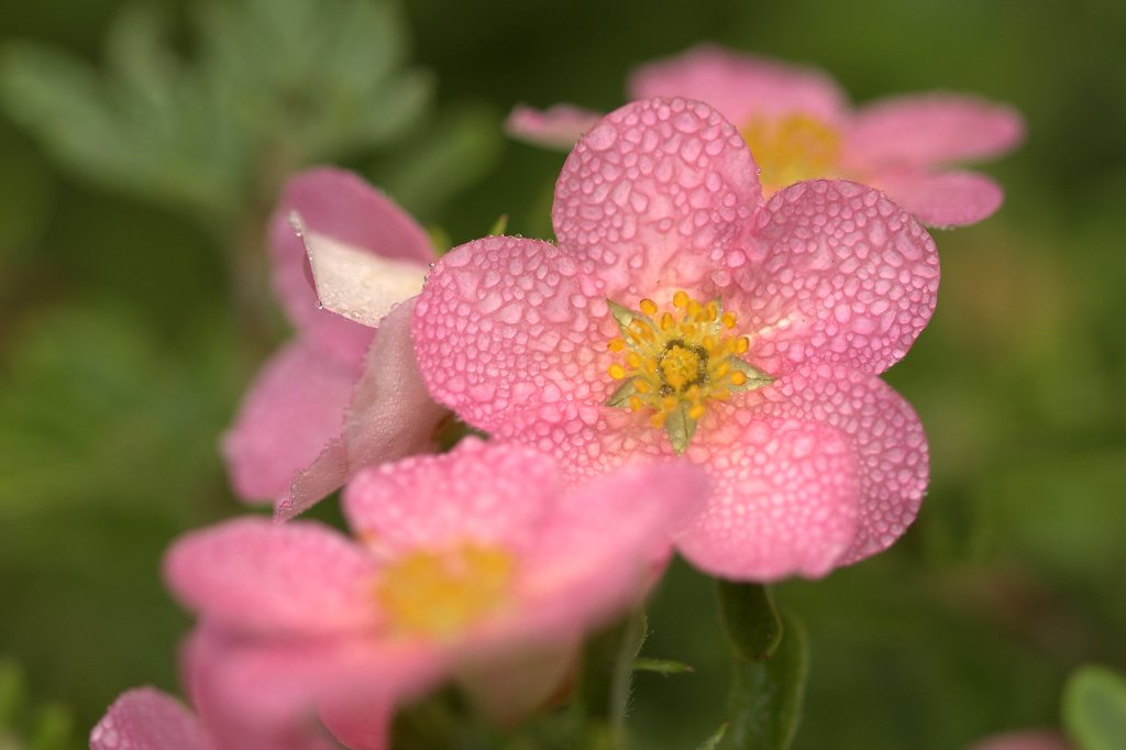 AB7_3891.jpg
