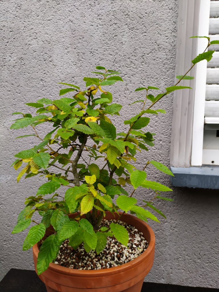 iMarkup_20201007_110806.jpg