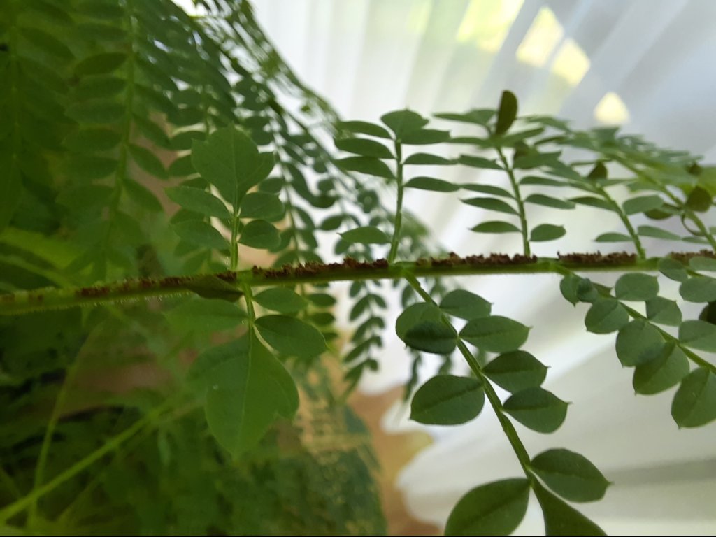 20201008_124424.jpg
