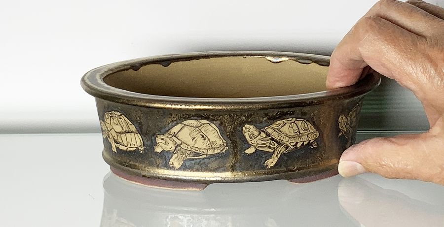 k-054 Schildkröten auf Gold g.jpg