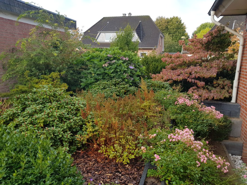 20201010_094432.jpg