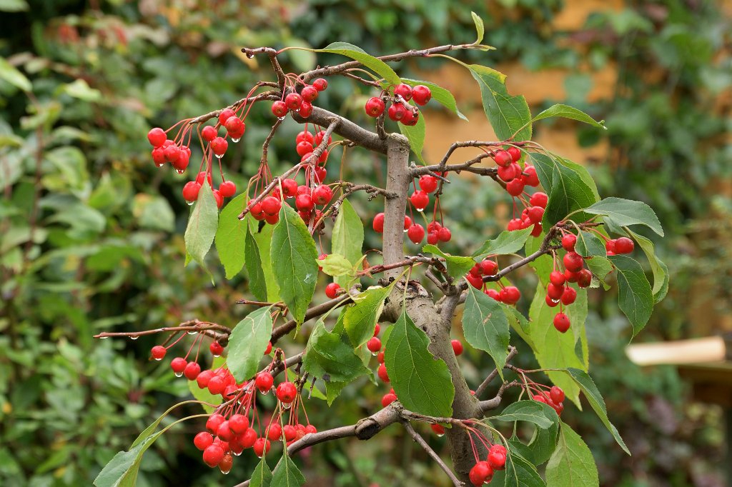 20201010_b.jpg